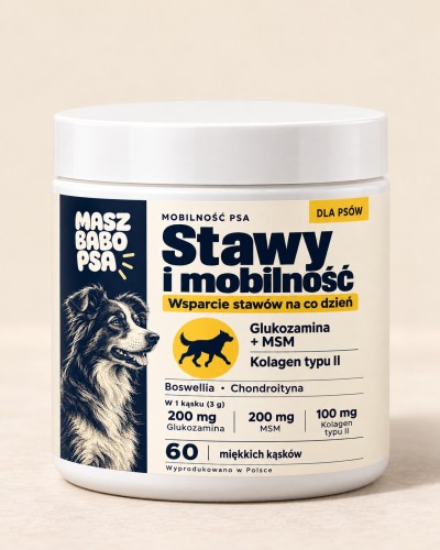 stawy-i-mobilnosc-sloik.jpg