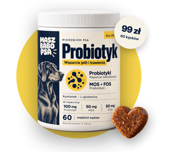 Probiotyk dla psa Masz Babo Psa – słoik 60 miękkich kąsków, 99 zł