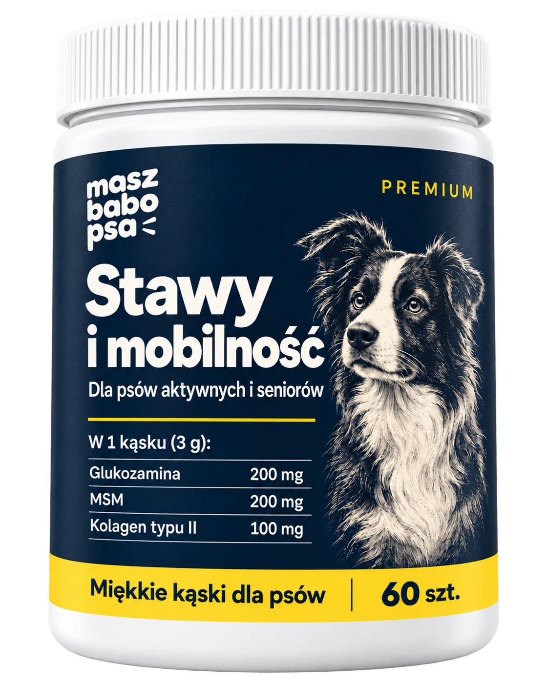 Stawy i mobilność